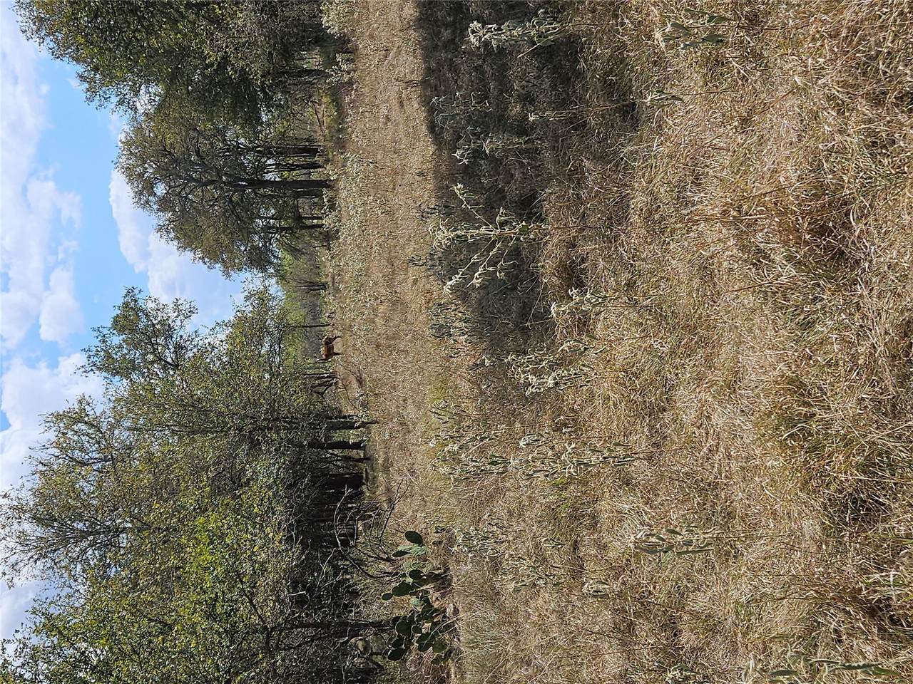 https://bt-photos.global.ssl.fastly.net/austin/1280_boomver_1_1860757-2.jpg