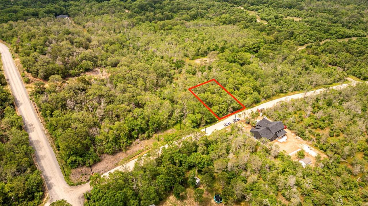 281 Nene Ln - Photo 1