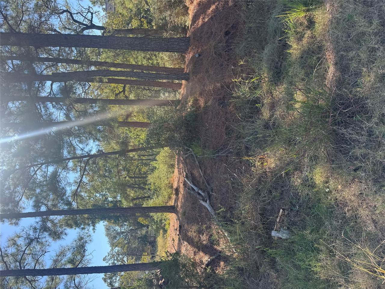 Lot 97 Kaelepulu Dr - Photo 1