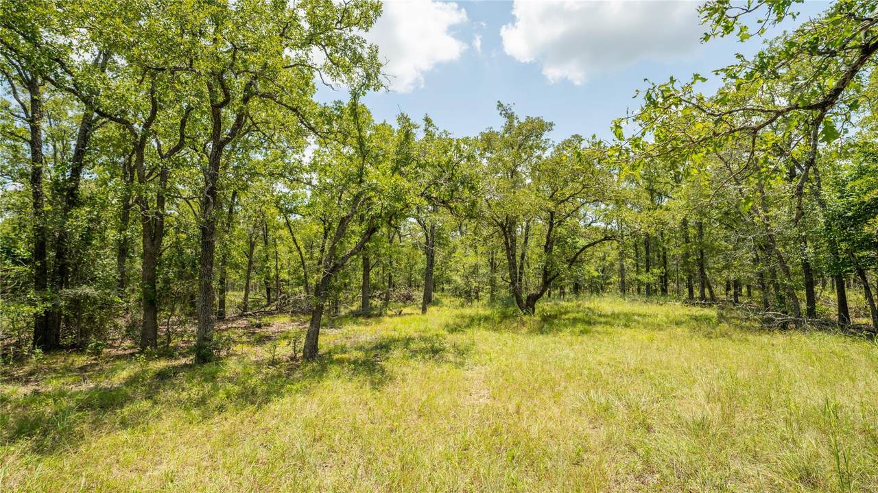 418-G County Road 405 - Photo 1