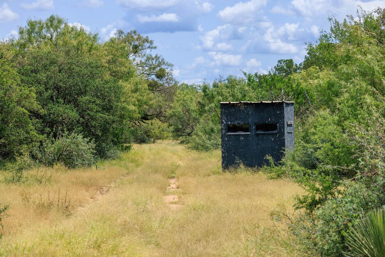 0 Ranch Road 648 - Photo 1