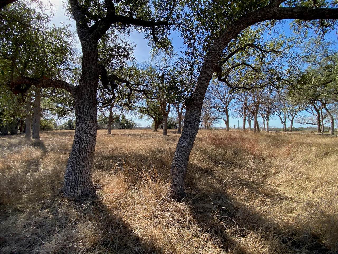 https://bt-photos.global.ssl.fastly.net/austin/1280_boomver_1_2543661-2.jpg
