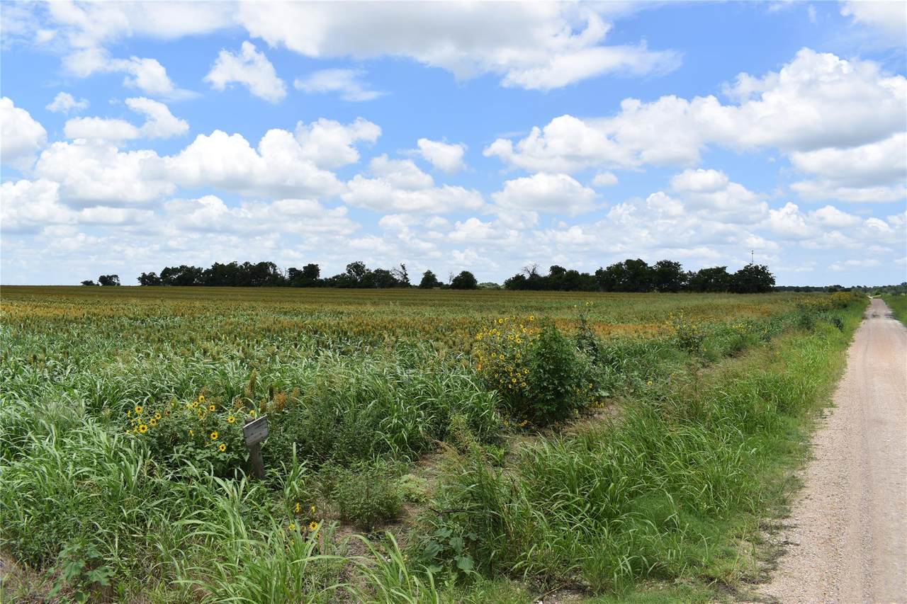 TBD County Road 109 - Photo 1