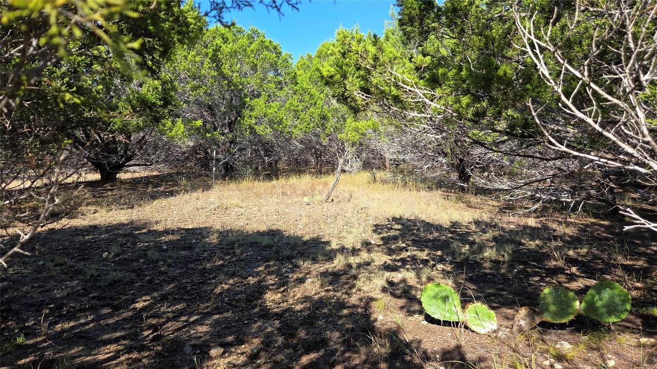 1801 Santa Cruz Cir - Photo 1