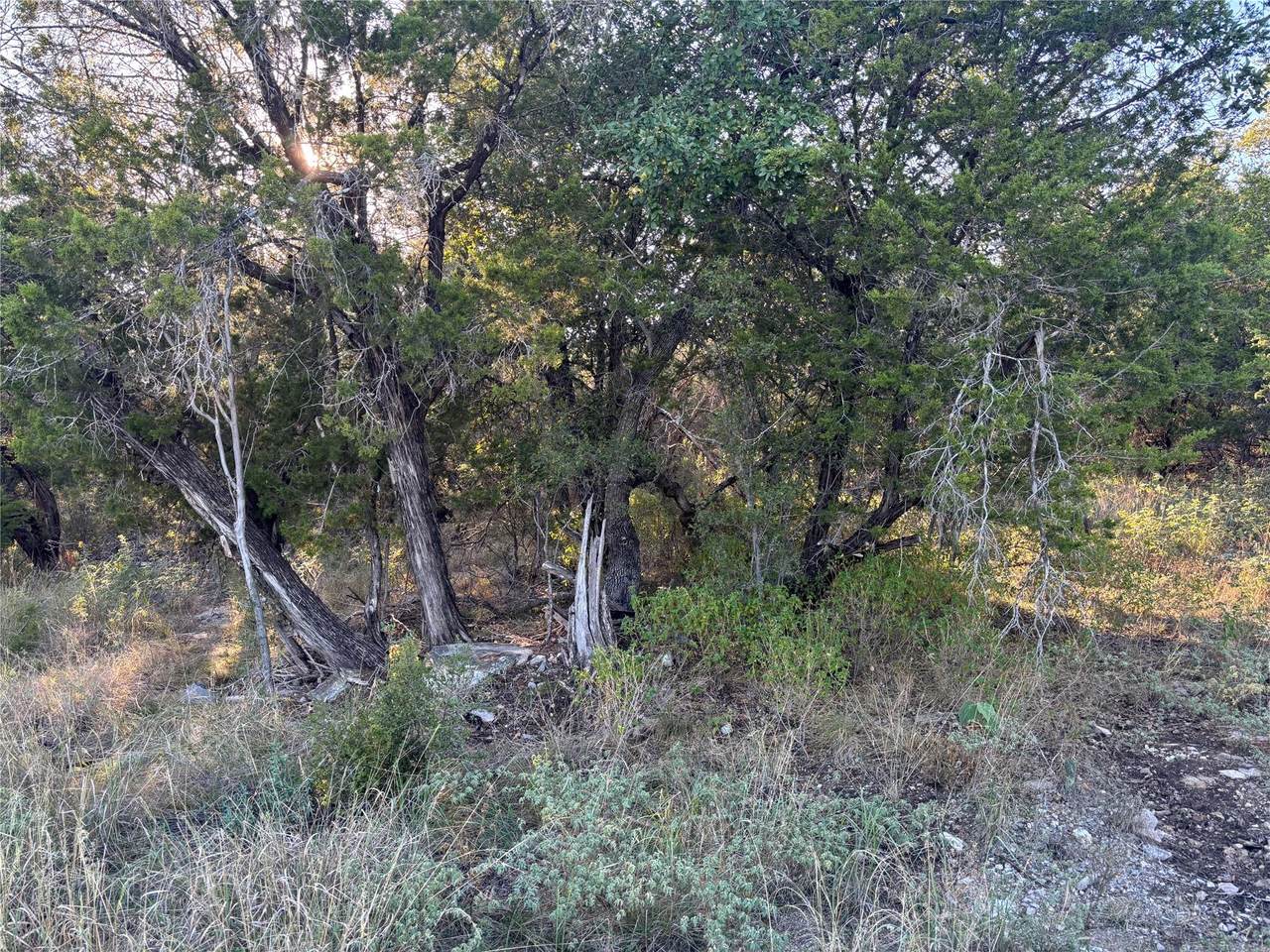 Lot K4106 Coon Ct - Photo 1