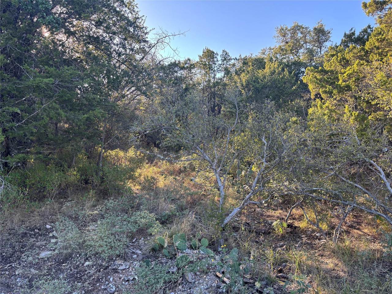 https://bt-photos.global.ssl.fastly.net/austin/1280_boomver_1_2764187-2.jpg