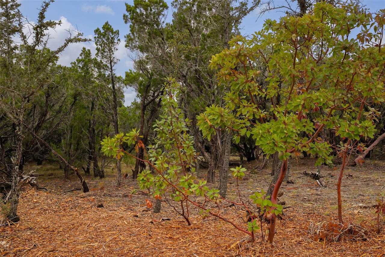 2900 Stagecoach Ranch Loop - Photo 1