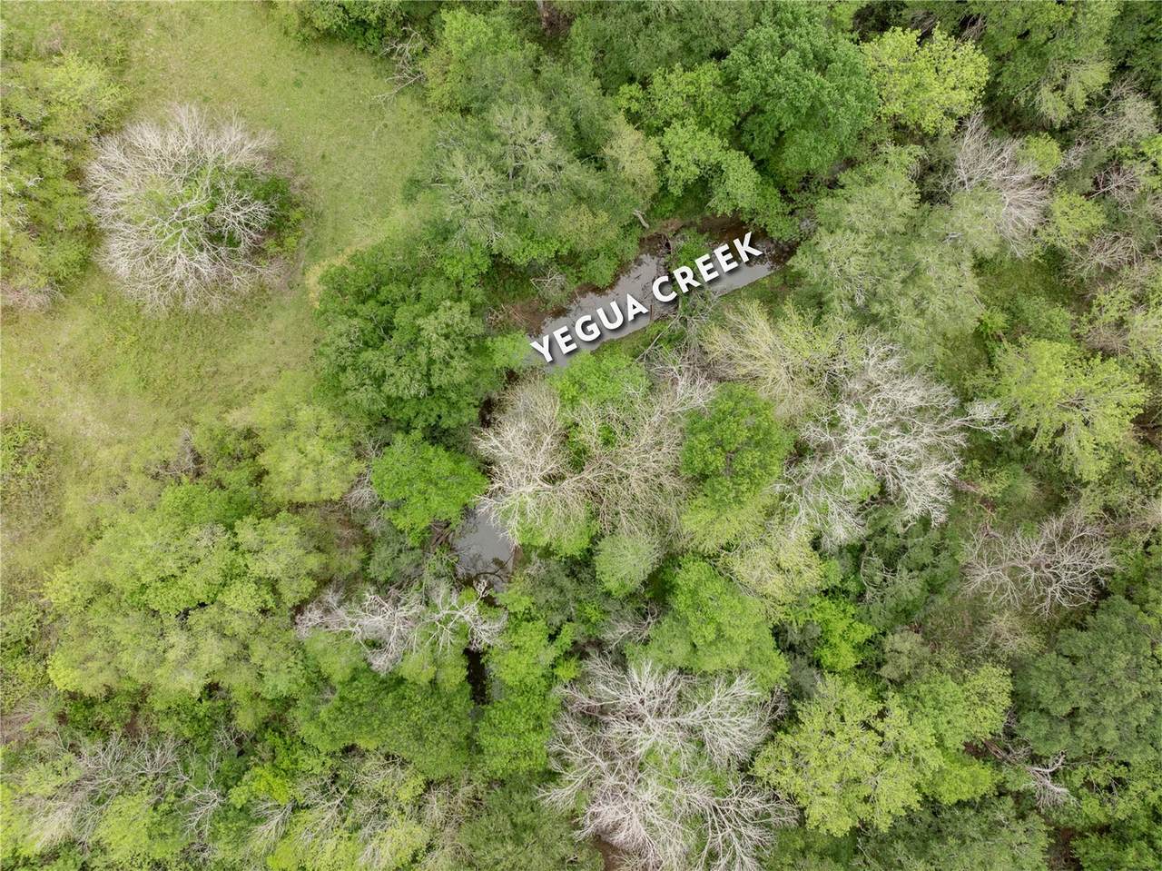 TBD County Road 433 - Photo 1