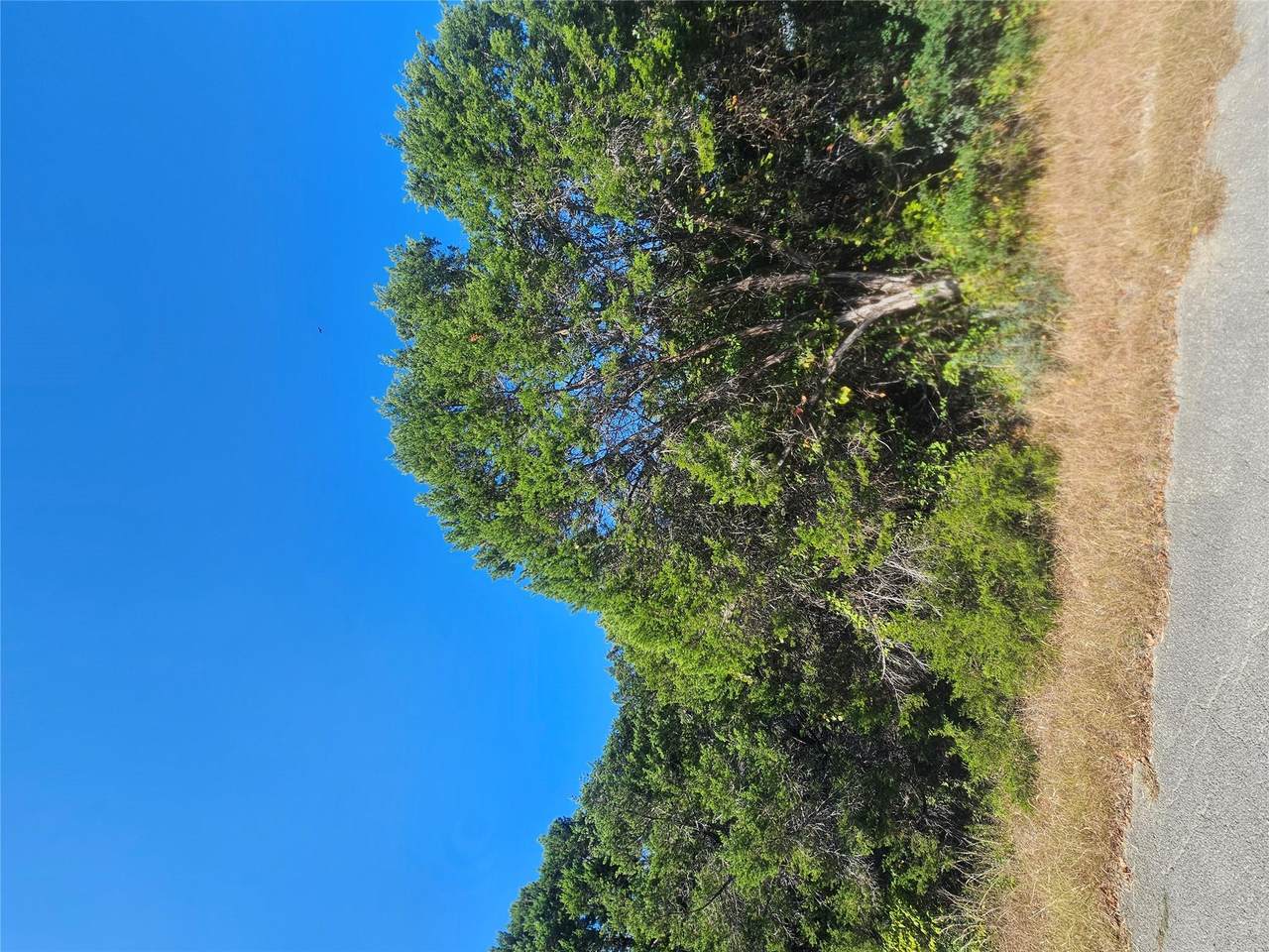 7406 White Oak Dr - Photo 1