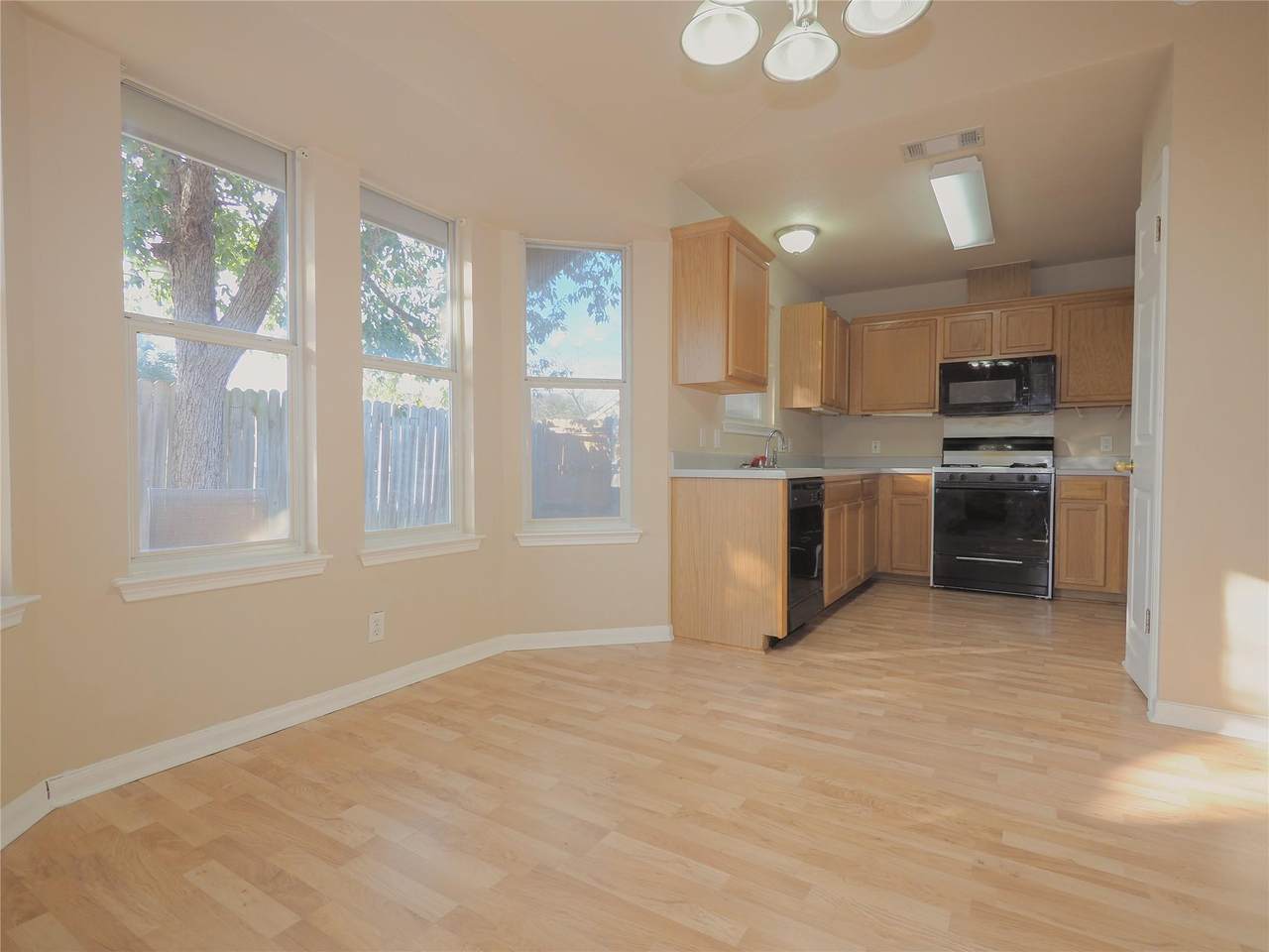 205 Caladium Dr - Photo 1