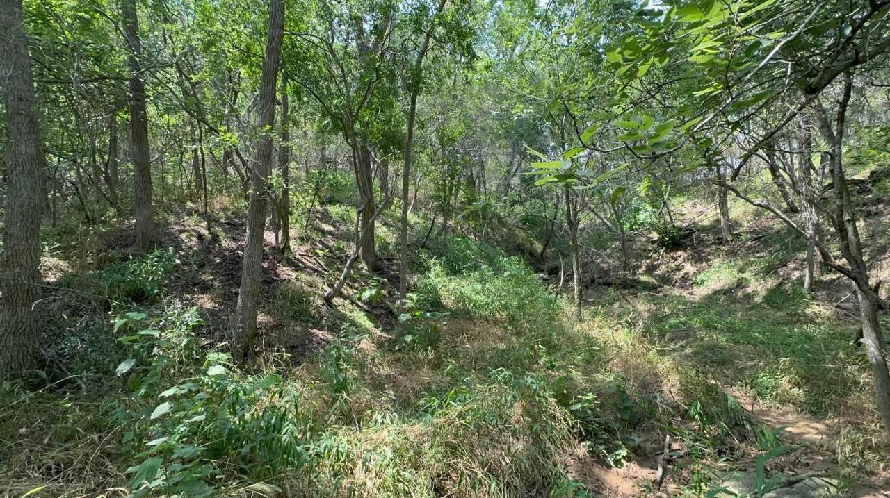 Lot 649 Kaukonahua Ln - Photo 1