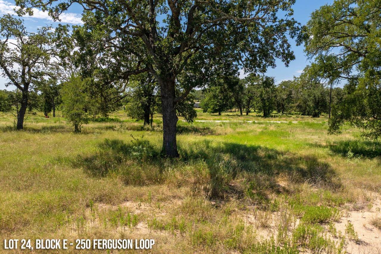 250 Ferguson Loop - Photo 1