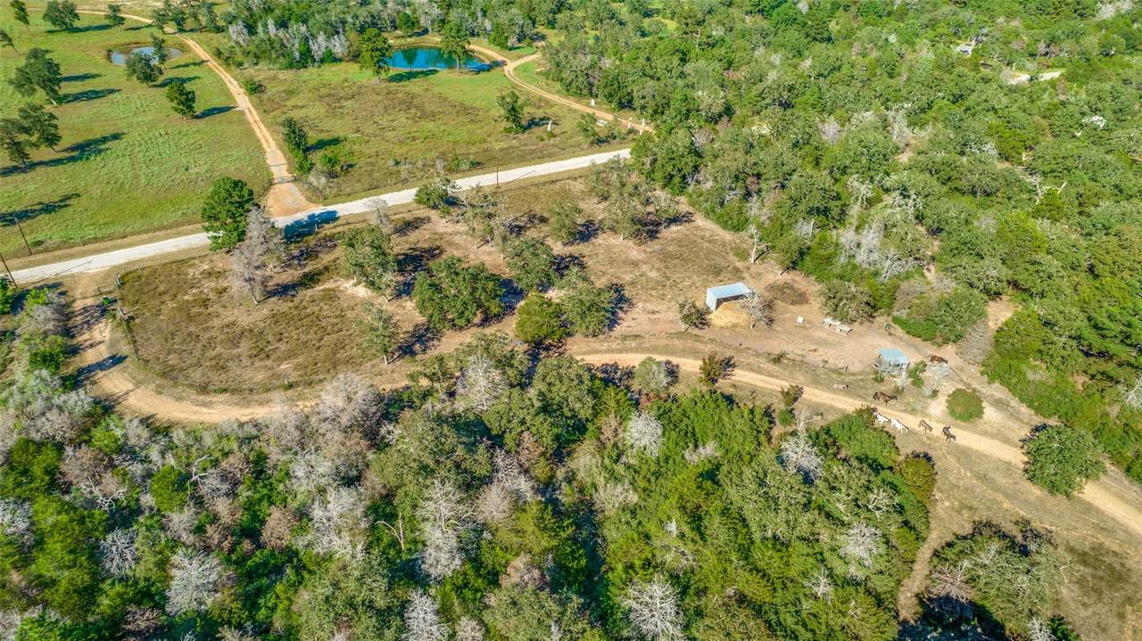 157 Cricket Hollow Ln - Photo 1