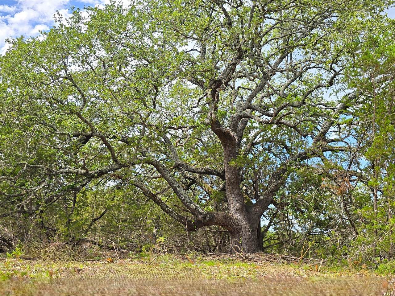 725 Cr 206 - Photo 1