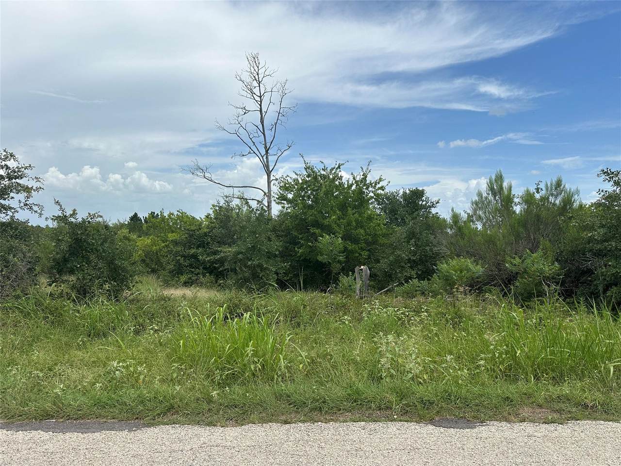TBD Mcallister Rd - Photo 1