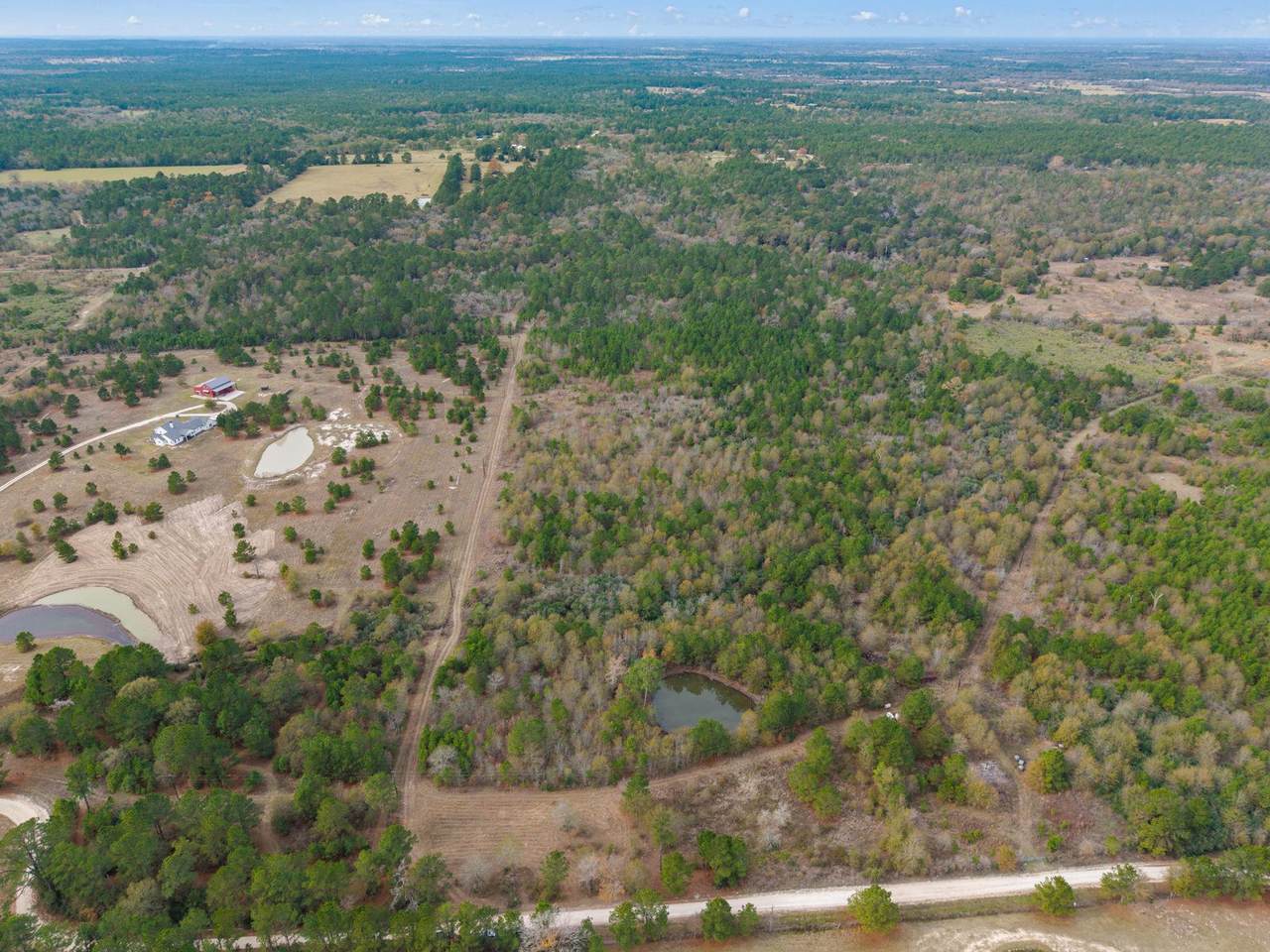 000 Dickey Loop - Photo 1