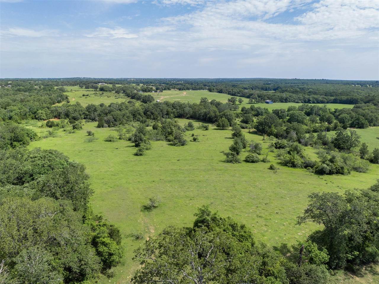 TBD County Road 459 Rd - Photo 1