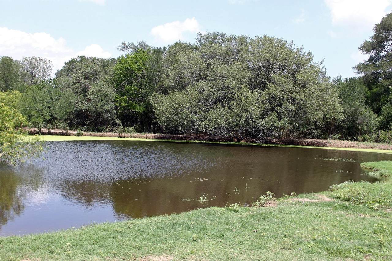 9411 Fm 86 Highway - Photo 1