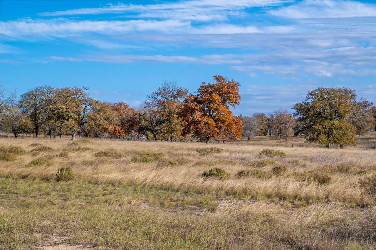 847 Littlehorn Ln - Photo 1