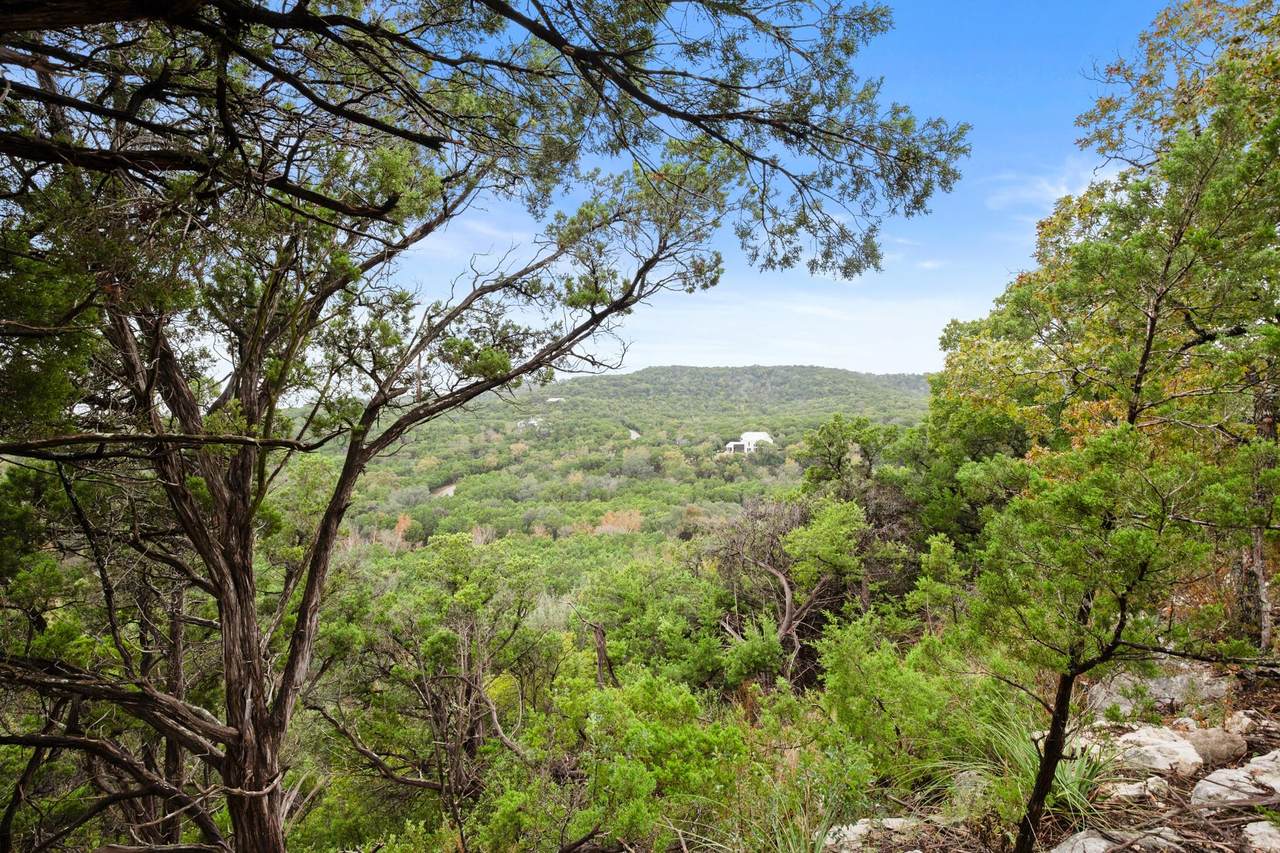 18211 Gregg Bluff Rd - Photo 1