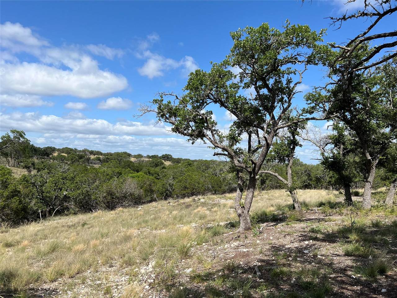 Lot 80 Seven Springs Rnch - Photo 1