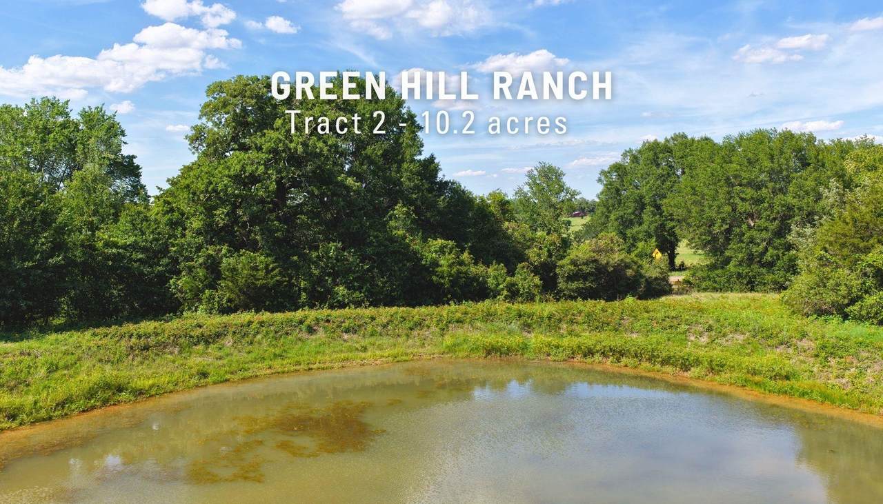 (Tract 2) Green Hill Road (+/-10.2 Acres) - Photo 1