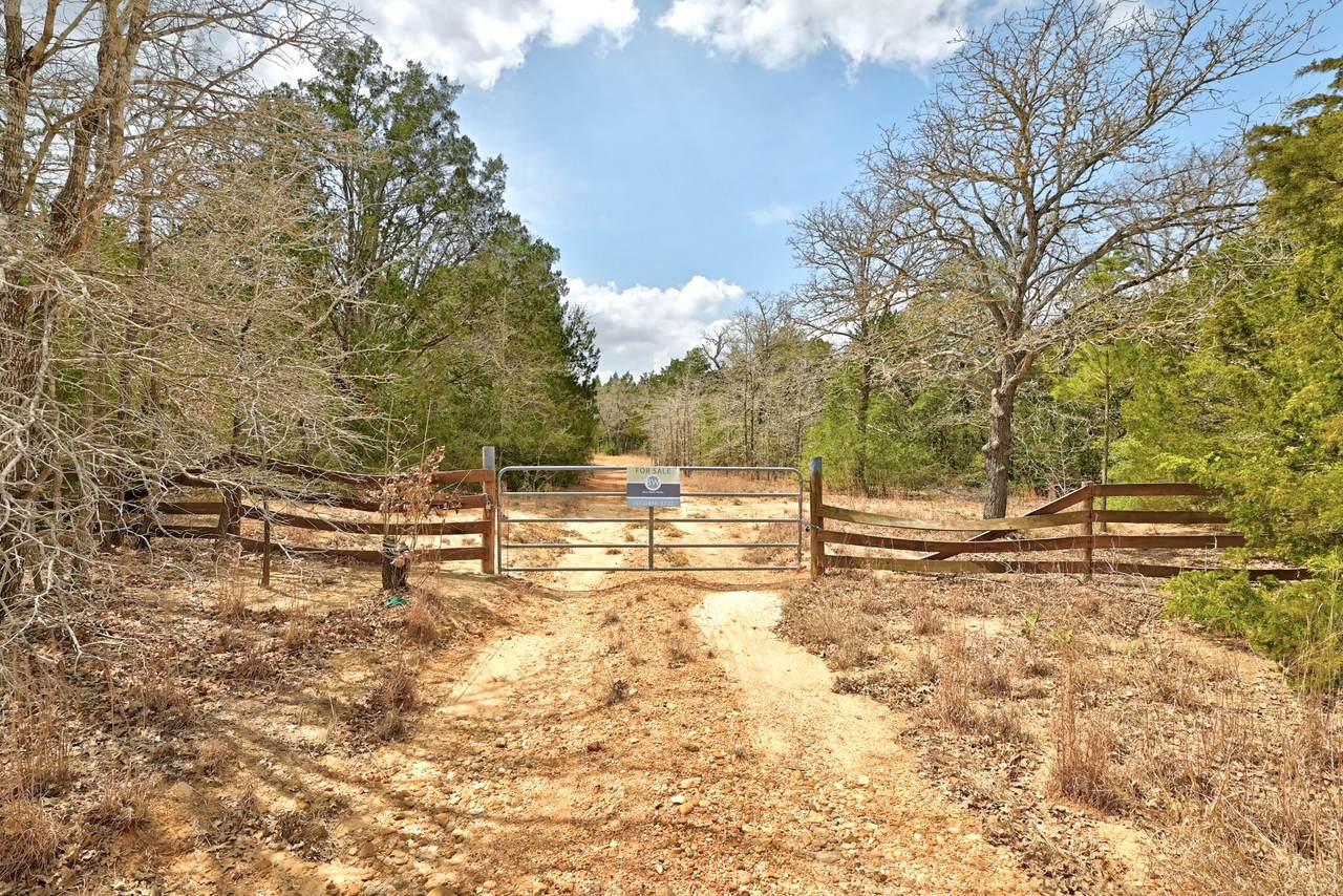 109 Crepe Myrtle Rd - Photo 1