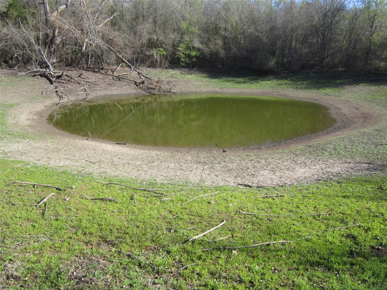 851 County Road 491 - Photo 1