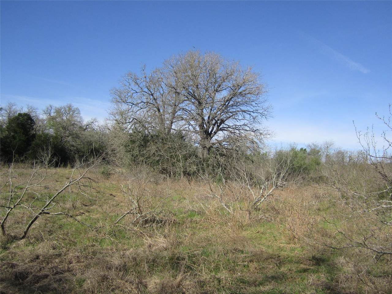 https://bt-photos.global.ssl.fastly.net/austin/1280_boomver_1_3810907-2.jpg