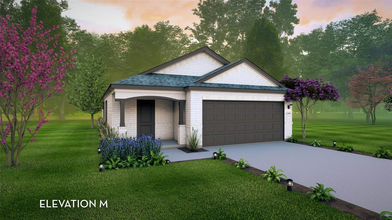 729 Barbary Coast Ln - Photo 1