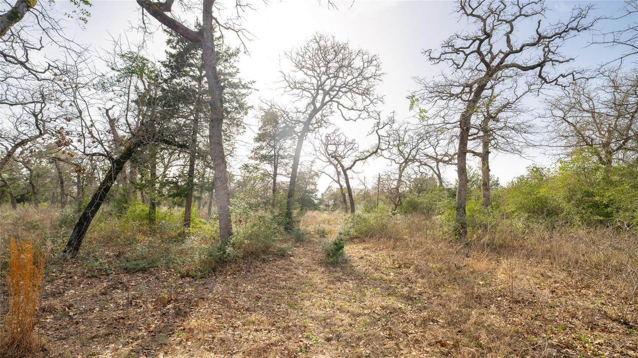 363 Private Road 3745 - Photo 1