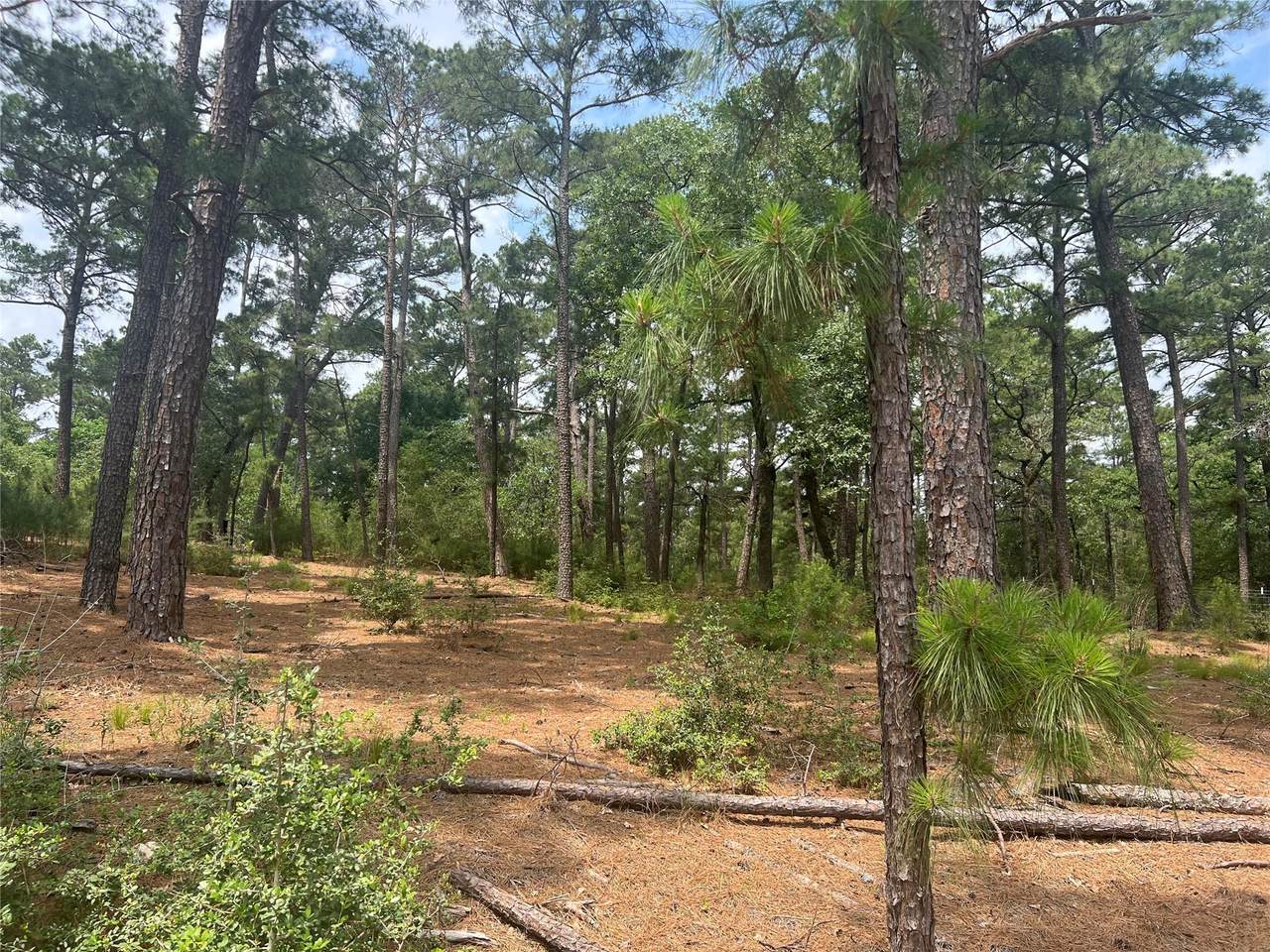 Lot 90 N. Hill Ridge Dr - Photo 1