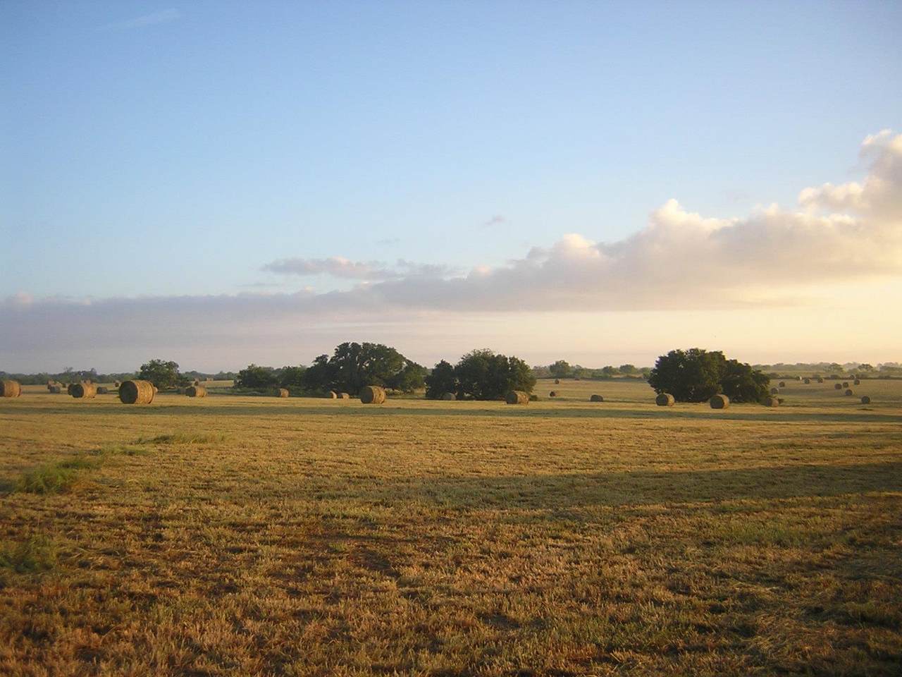 15657 Fm 86 - Photo 1