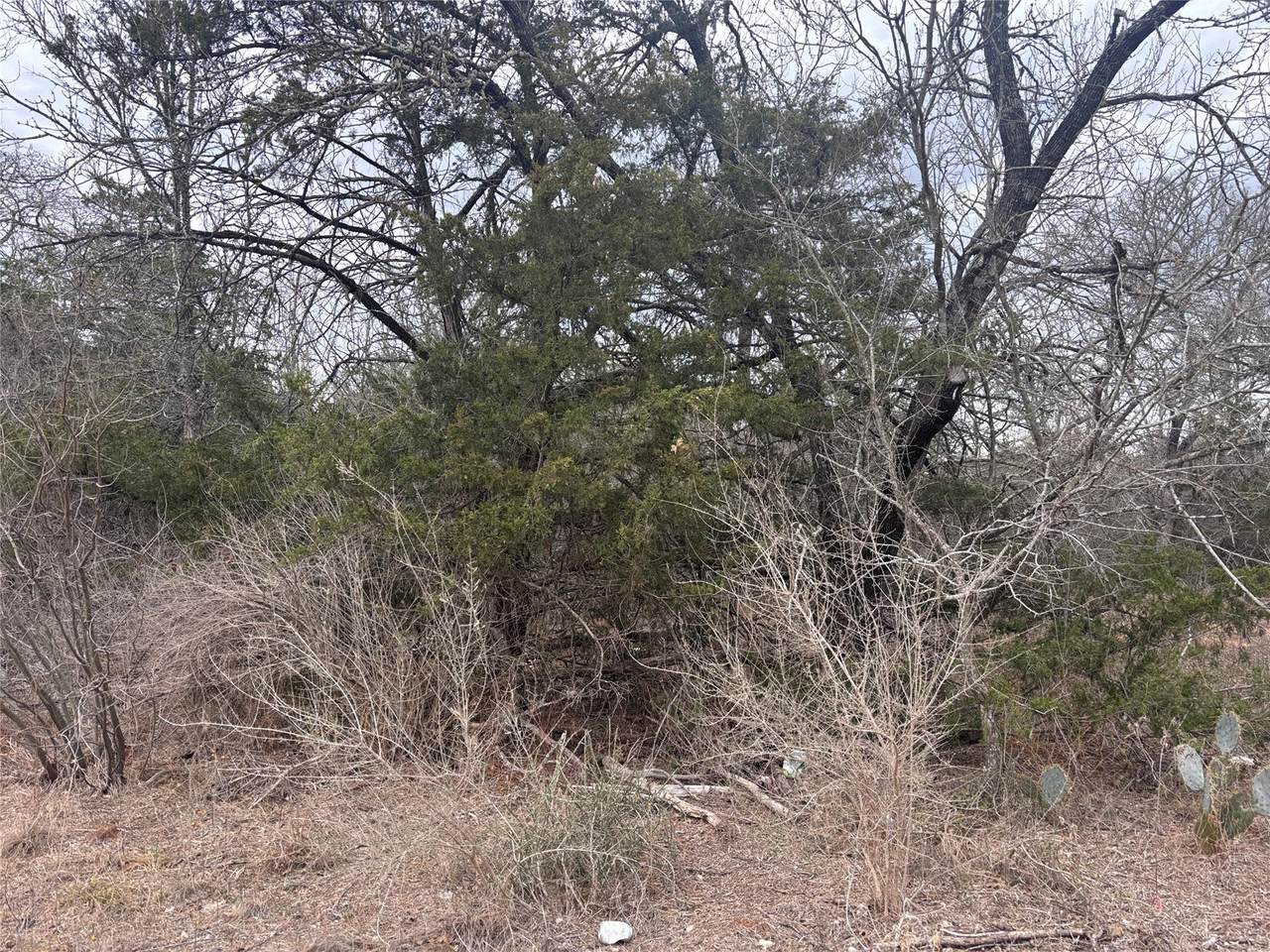 TBD Pearson Rd - Photo 1