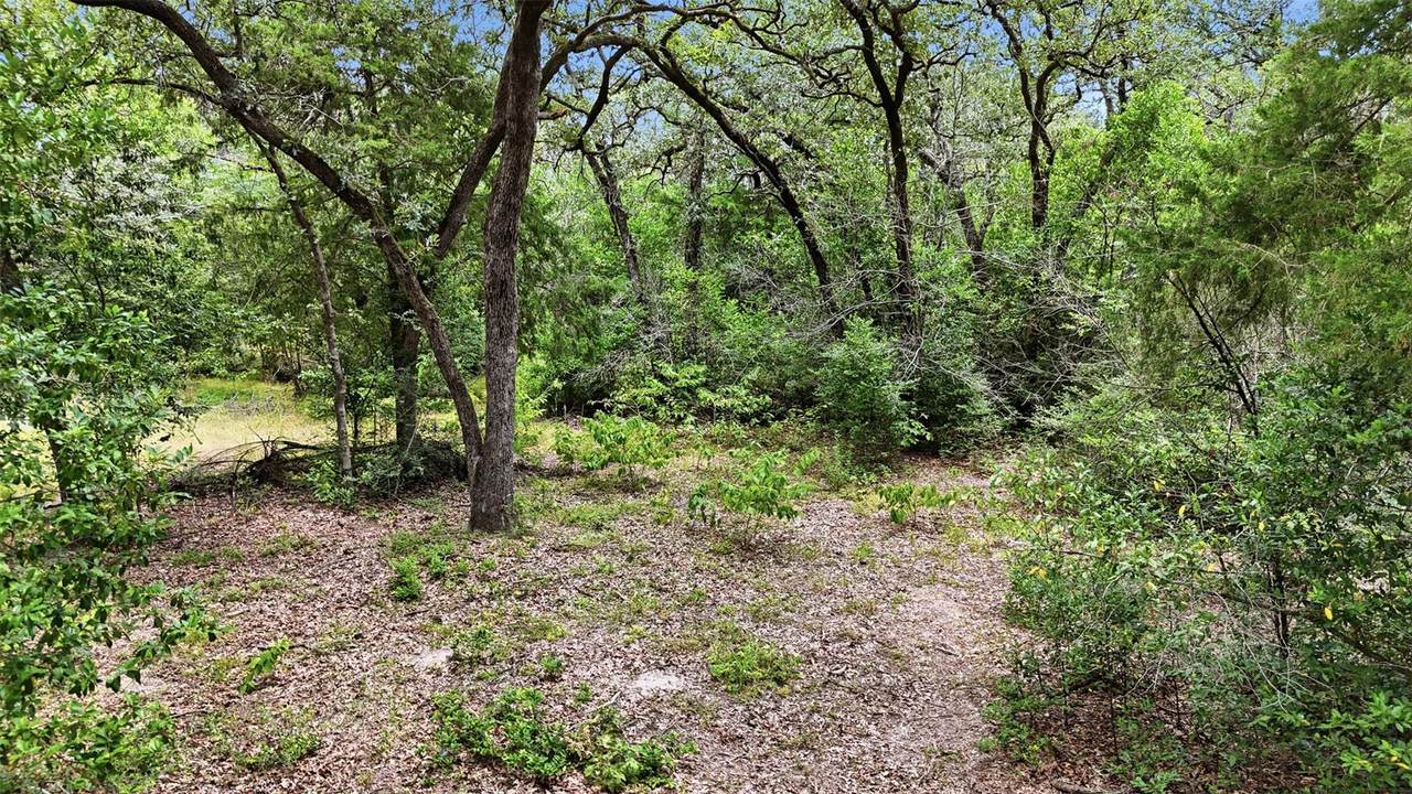 https://bt-photos.global.ssl.fastly.net/austin/1280_boomver_1_4389674-2.jpg