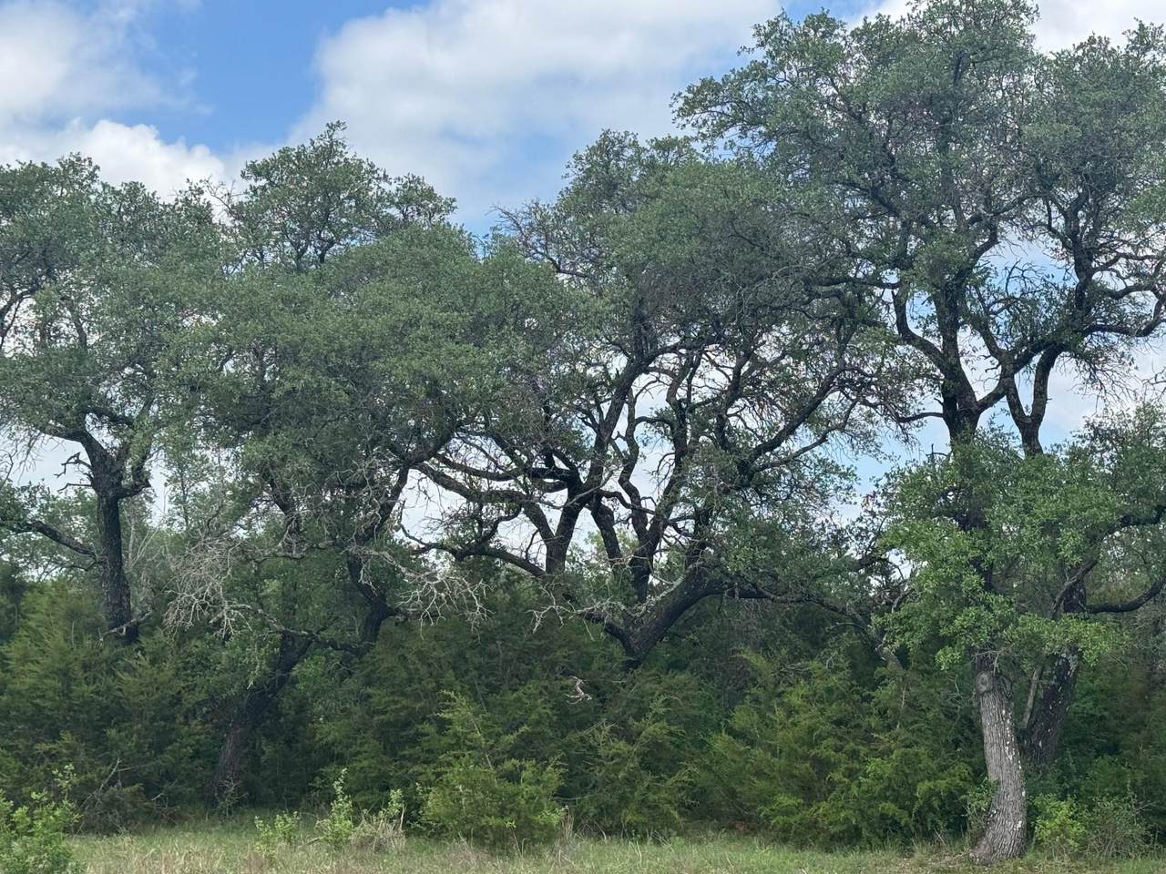 Lot 40 Maverick Way - Photo 1