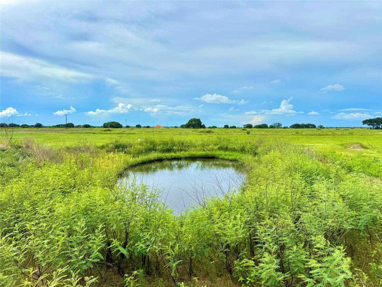 TBD Tract 105 Pin Tail Ln - Photo 1