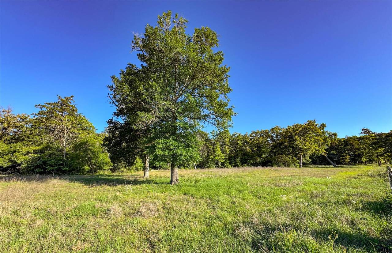 TBD County Road 329 (+/- 8.8 Acres) - Photo 1
