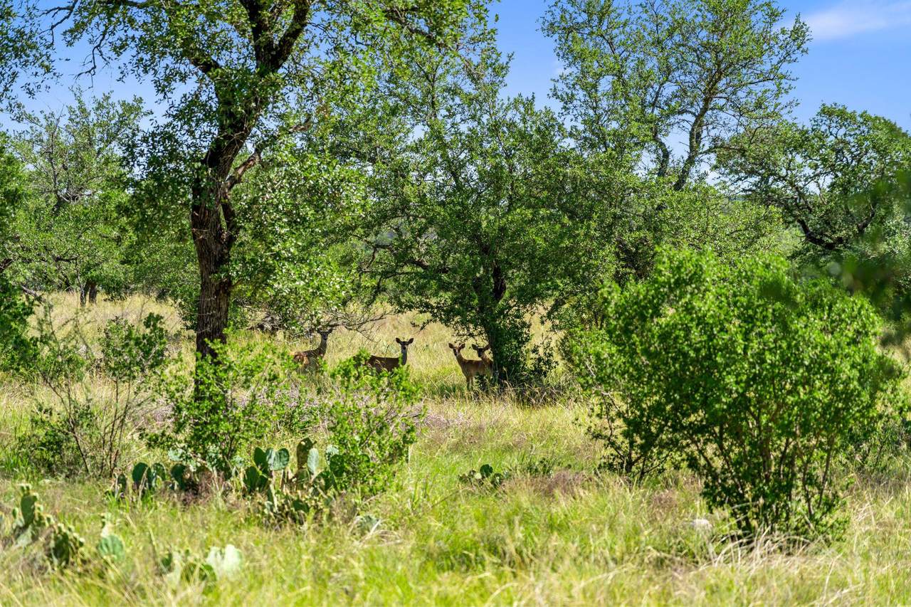 https://bt-photos.global.ssl.fastly.net/austin/1280_boomver_1_4764925-2.jpg