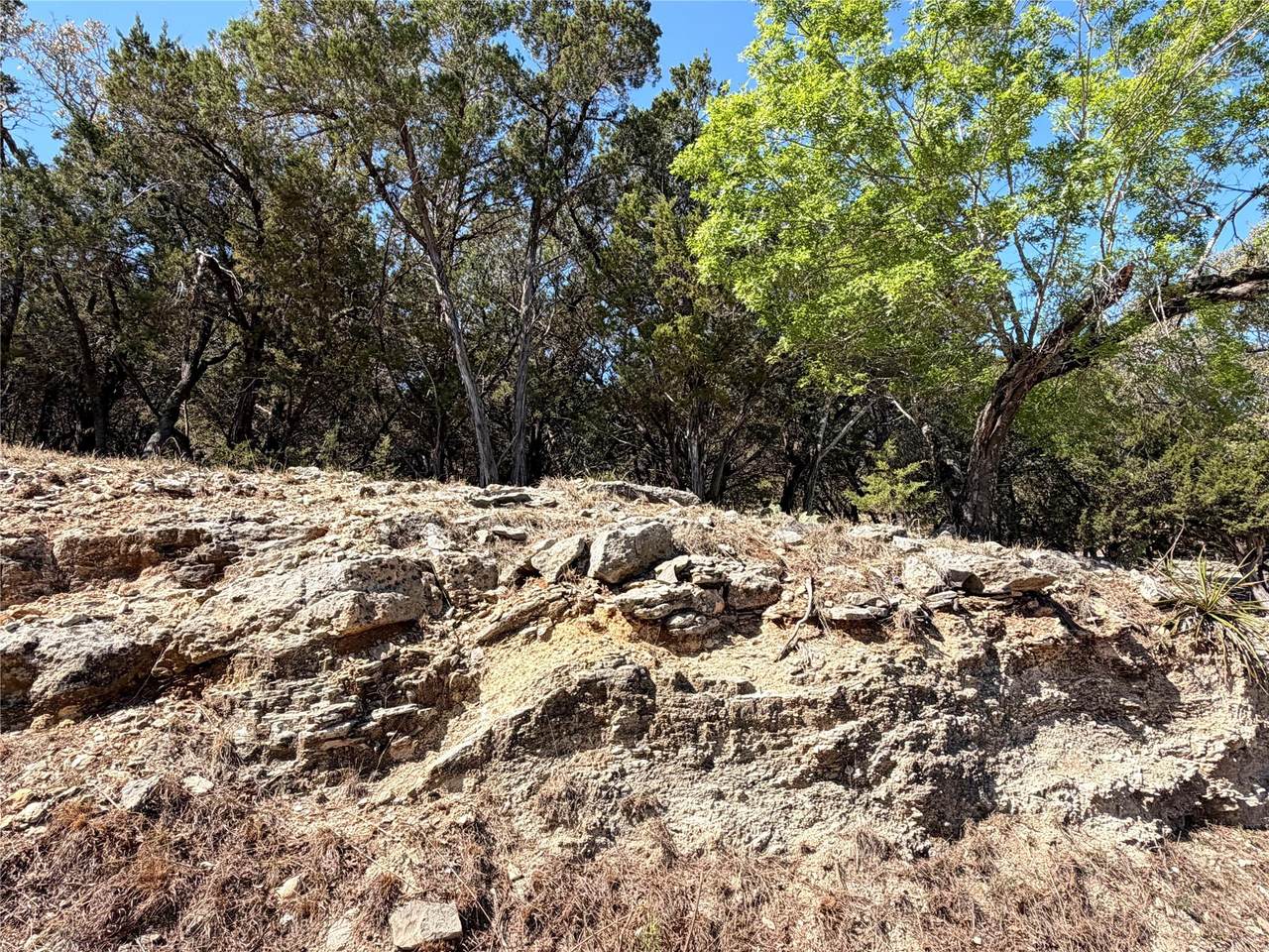 https://bt-photos.global.ssl.fastly.net/austin/1280_boomver_1_4792027-2.jpg
