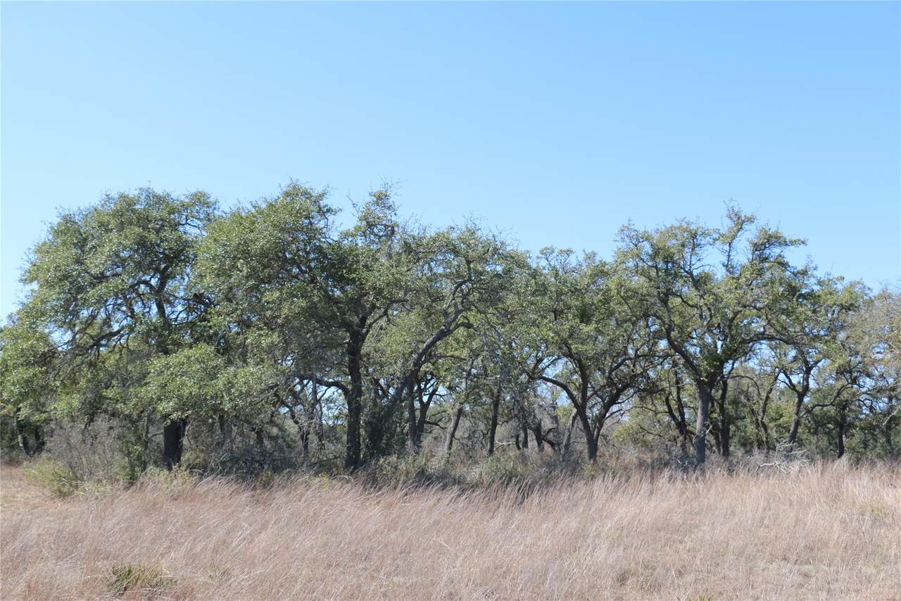 https://bt-photos.global.ssl.fastly.net/austin/1280_boomver_1_4849825-2.jpg