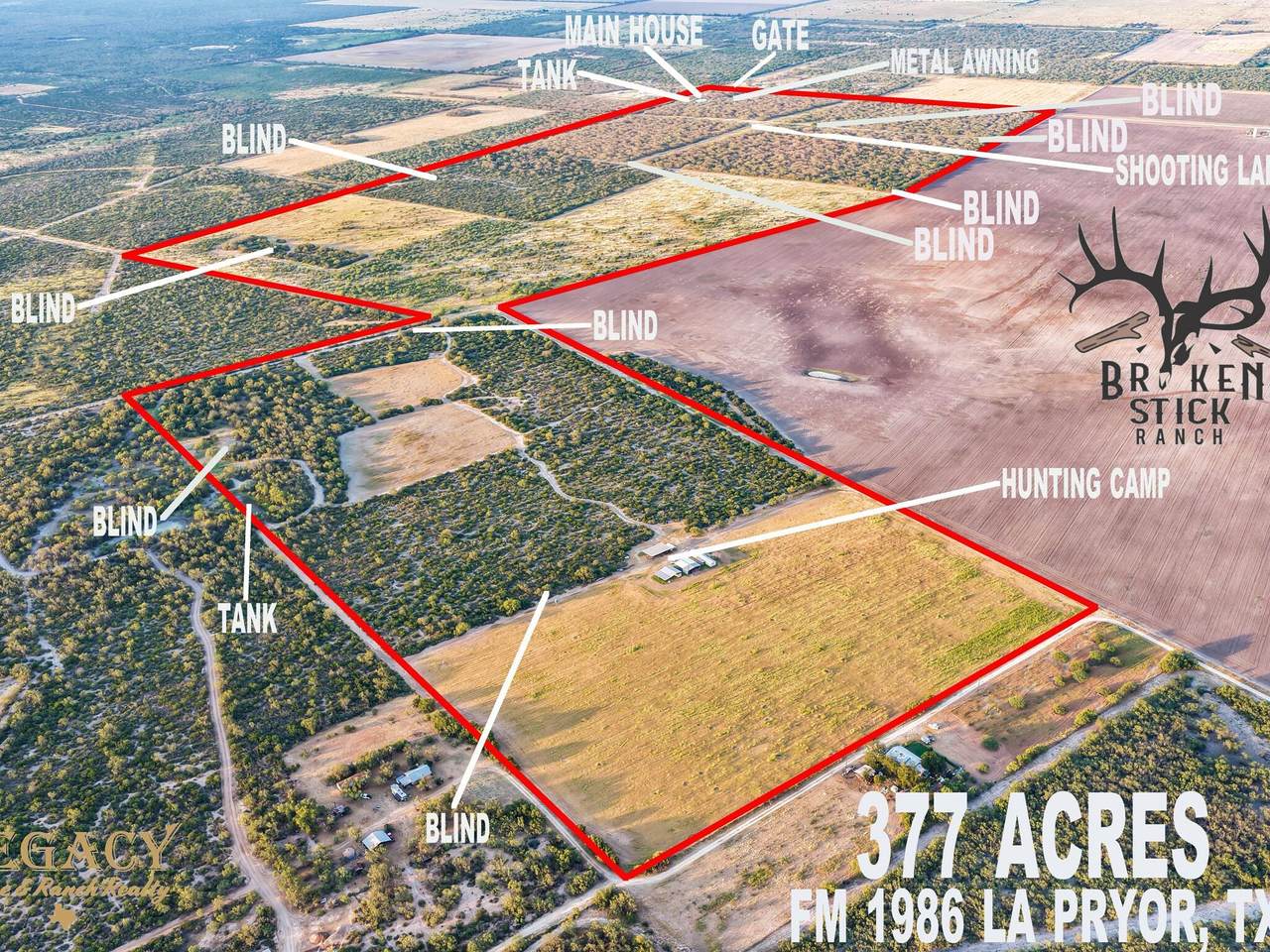 TBD Fm 1986 - Photo 1