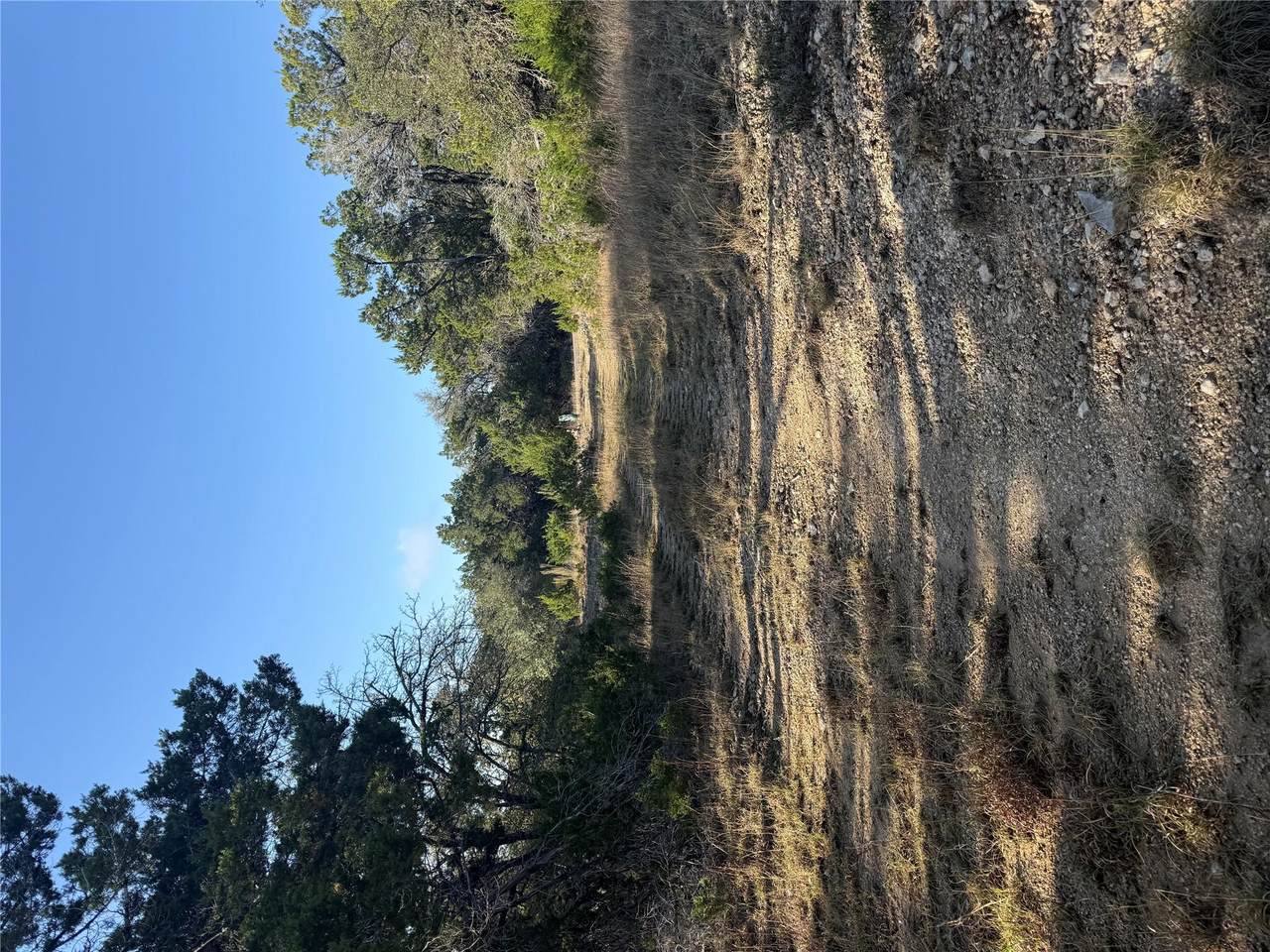 3600 Stagecoach Ranch Loop - Photo 1