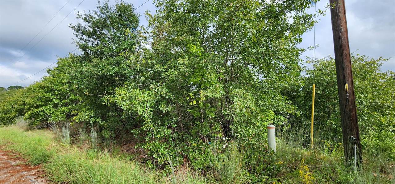 TBD Homonu (Lot 105) Ct - Photo 1