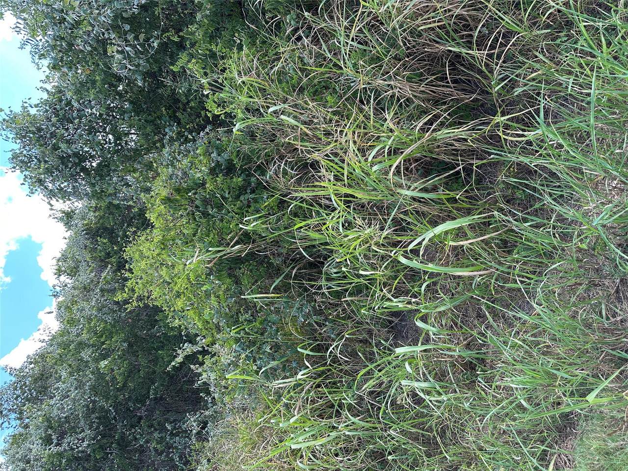 TBD Pine Hill Loop Loop - Photo 1