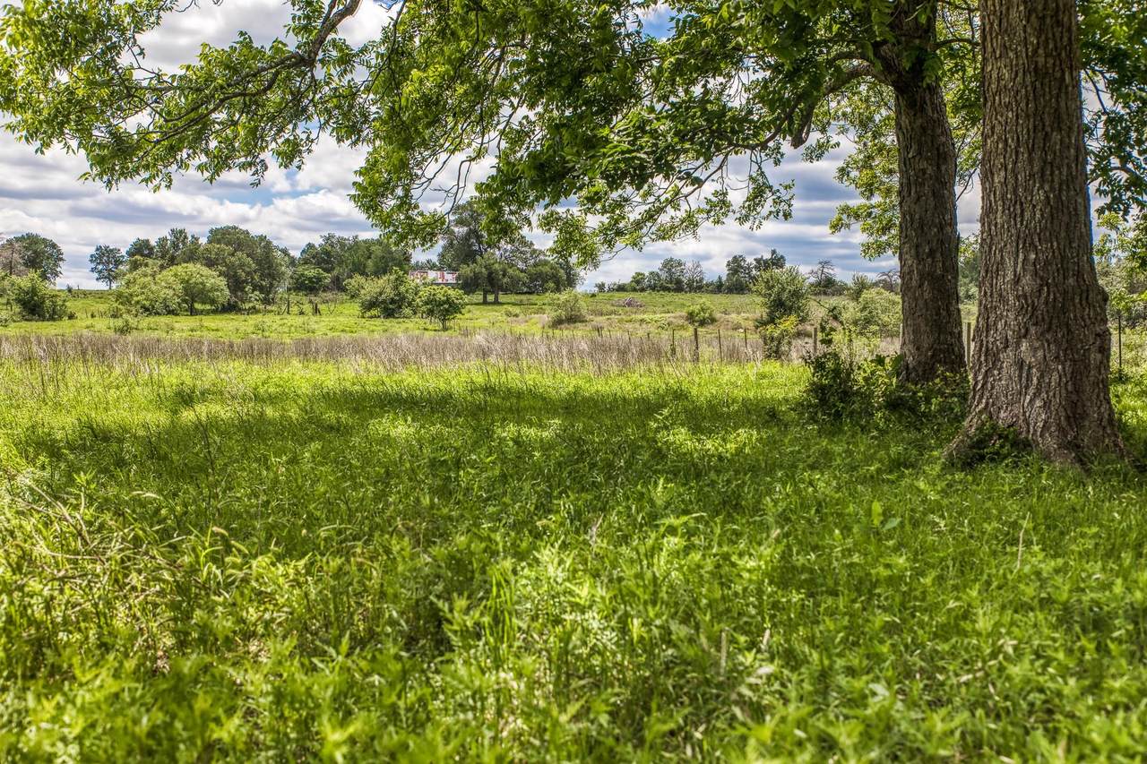 5233 County Road 106 - Photo 1