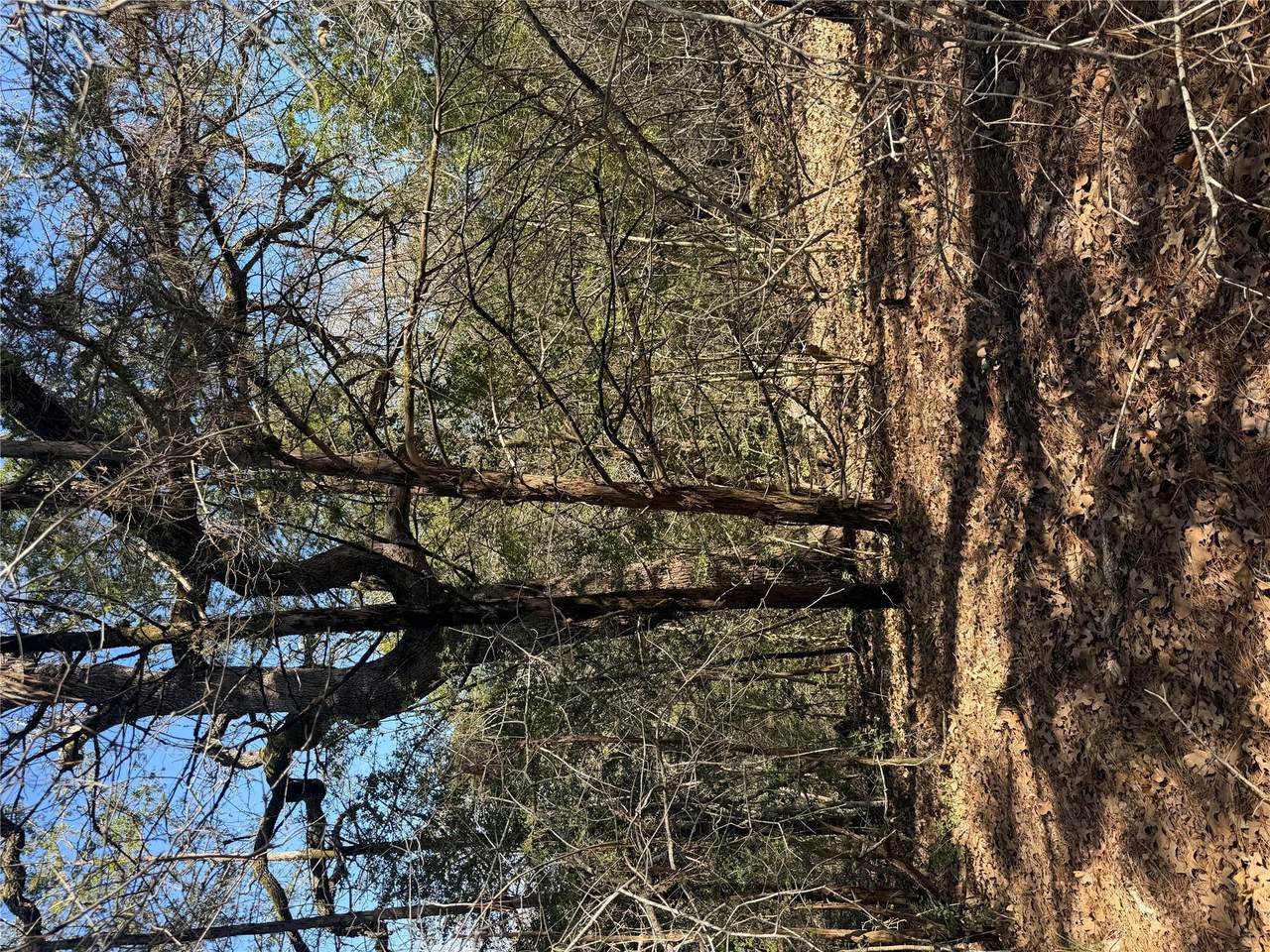 Lot 321 Keneka Ln - Photo 1