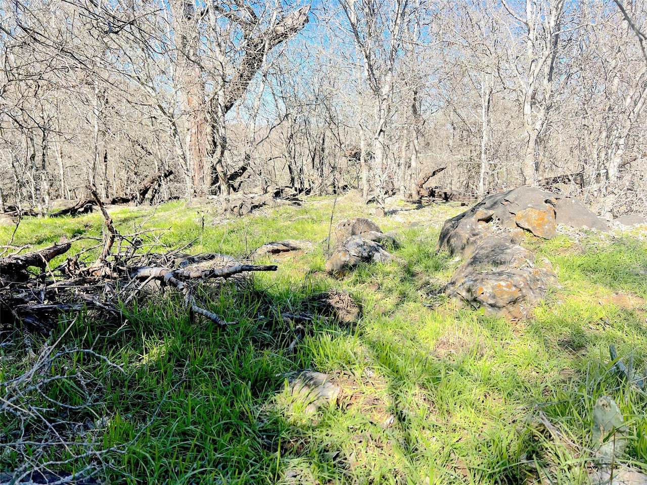 5912 Tenney Creek Rd - Photo 1