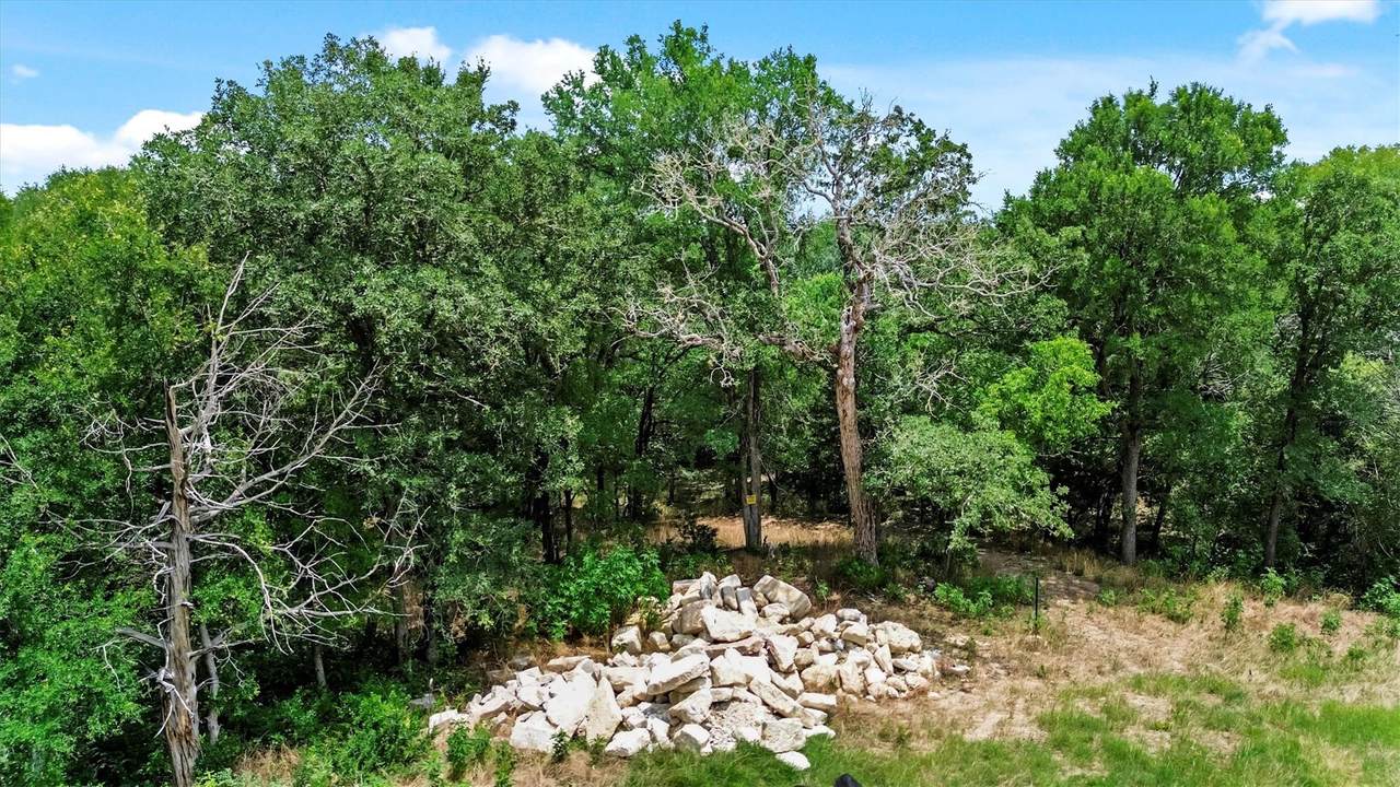 TBD Ripple Brook Dr - Photo 1