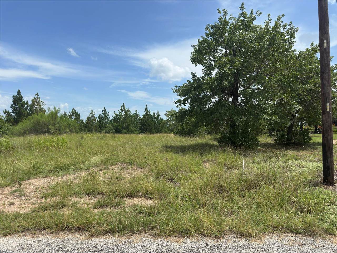 141 Tall Forest Dr - Photo 1